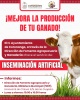 Para mejorar producción ganadera, Coronango ofrece herramienta de inseminación artificial