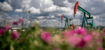 Reunión de países de la OPEP+ para analizar la producción de petróleo.