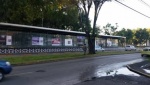 Usuario de RUTA denuncia agresión tras identificar a presunta banda de carteristas