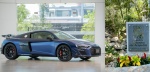 Vivero de plantas nativas en el Jardín Botánico de Acapulco con apoyo de Audi México