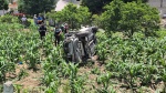 Sobreviven integrantes de una familia a aparatosa volcadura en la Tlaxcala-Texmelucan