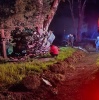 Mueren cinco integrantes de una familia tras brutal choque contra un árbol, en Nanacamilpa