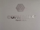 Coparmex Tlaxcala lanza fuerte advertencia por Plan B y pone el foco en economía y seguridad