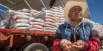 Productores agrícolas trabajando en campos de Zacatecas