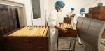 Foto: Cortesía Apicultor trabajando con colmenas en México