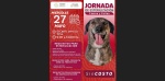 Foto: Cortesía Veterinario revisa perros y gatos durante jornada de esterilización