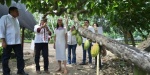 Foto: Cortesía Claudia Sheinbaum con productores de cacao en Tabasco