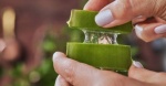 Persona aplicando aloe vera en el cabello