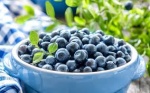 Moras azules: Beneficios para la memoria y metabolismo